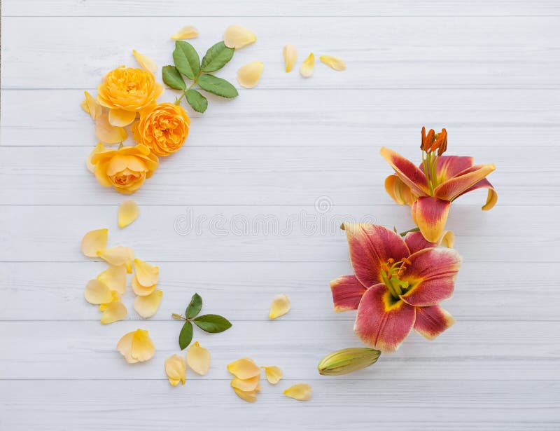 Roses and Lilies Lie Around, a Ring of Yellow Flowers Stock Photo ...