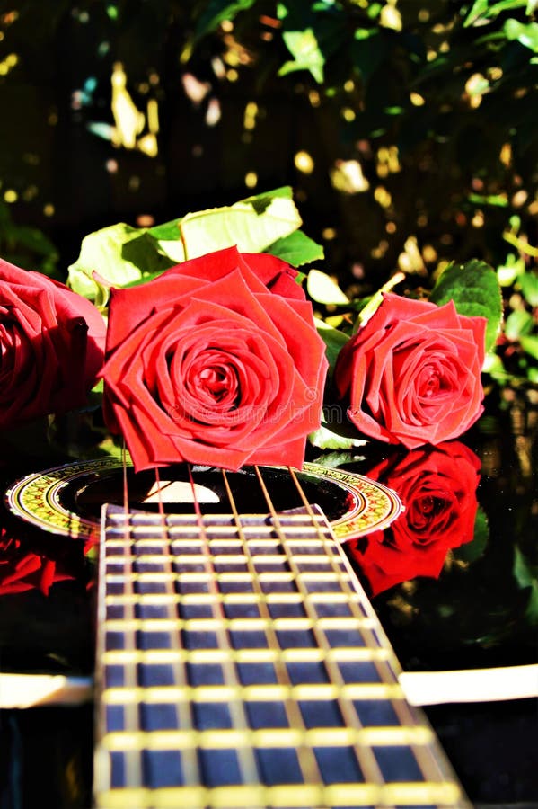 Roses and love, symbols royalty free stock photos Roses and love, symbols royalty free stock photos