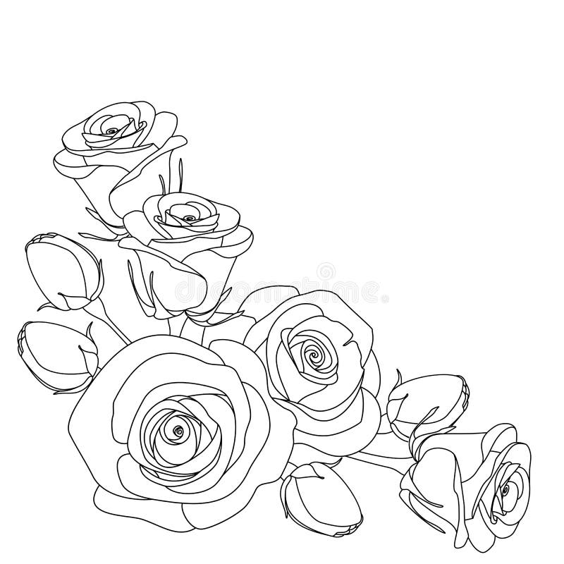 Roses, monochrome illustration, coloring page vector illustration