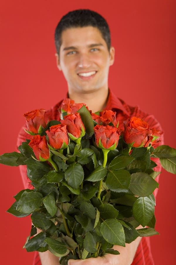 Roses for my love stock images Roses for my love stock images