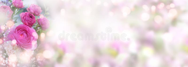 Roses on pastel colored spring background