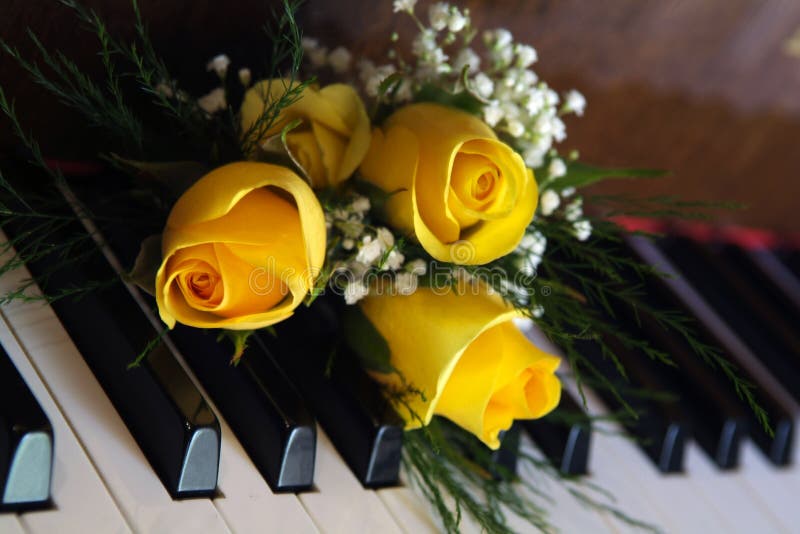Roses on a piano stock photo. Image of rose, chorus, leaf 8712640