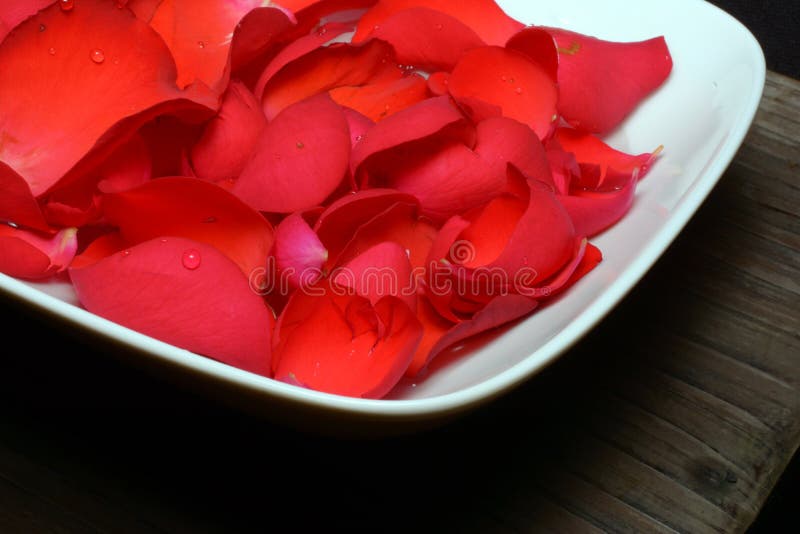 Roses on a plate background closeup