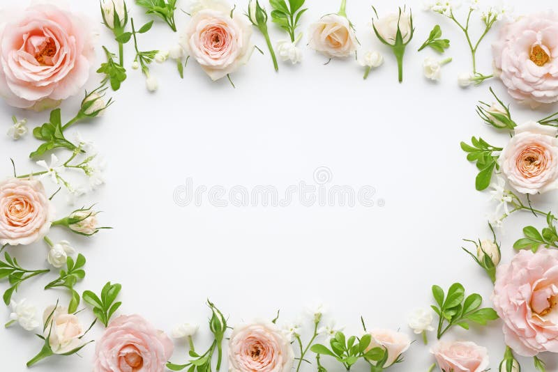 Roses roses photos libres de droits Roses roses photos libres de droits