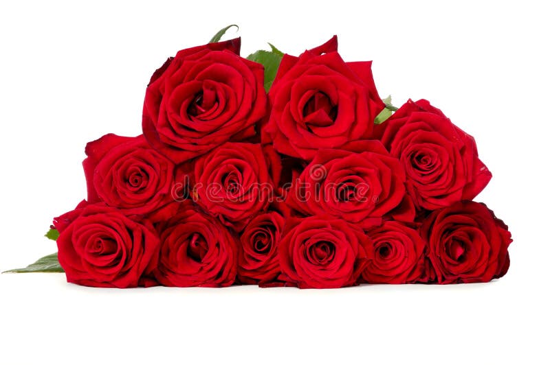 Bouquet De Fleur De 100 Roses Rouges Image stock - Image du lame, jour:  85542657