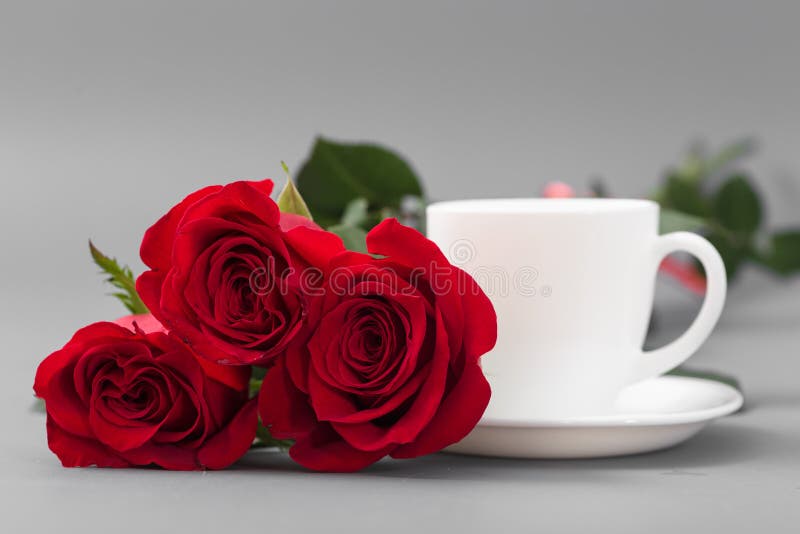 Roses rouges avec une tasse de café de couleur blanche sur un fond gris images stock Roses rouges avec une tasse de café de couleur blanche sur un fond gris images stock