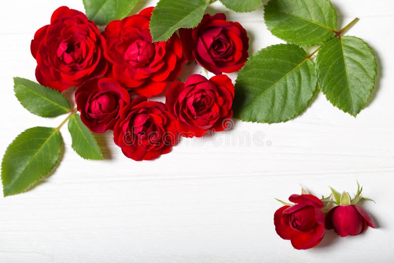 Roses rouges Belles fleurs sur une table deoevian blanche photo stock Roses rouges Belles fleurs sur une table deoevian blanche photo stock