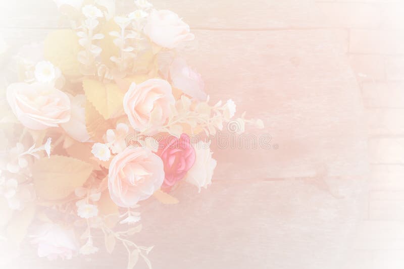 Roses Soft Blur Background in Vintage Pastel Tones. Stock Photo - Image of  blossom, green: 57788126