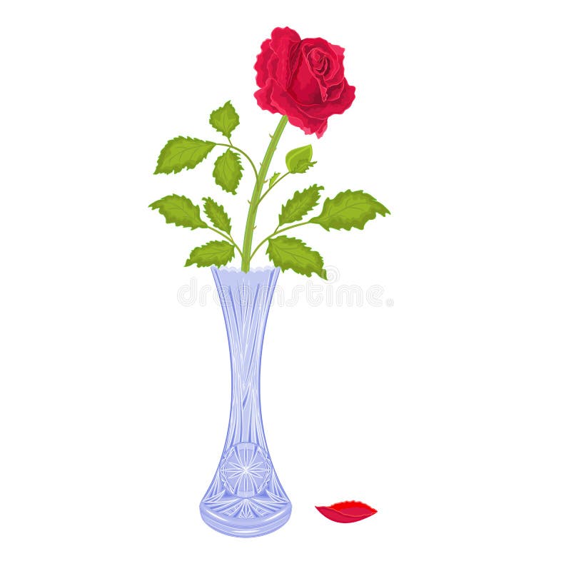 Roses in a vase stock vector. Illustration of cool, pattern 37554264