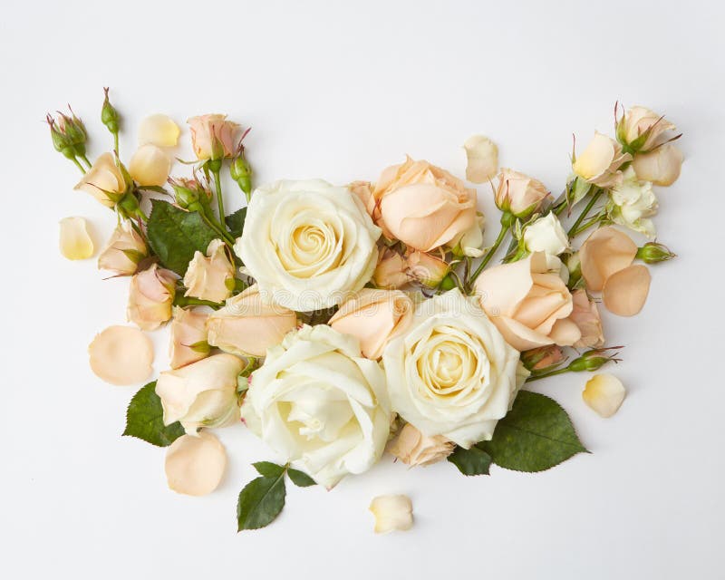 Roses on white background. Bouquet of roses represented over over white background. Beautiful decoration of flowers in Valentine`s Day or wedding of young stock photos Roses on white background. Bouquet of roses represented over over white background. Beautiful decoration of flowers in Valentine`s Day or wedding of young stock photos
