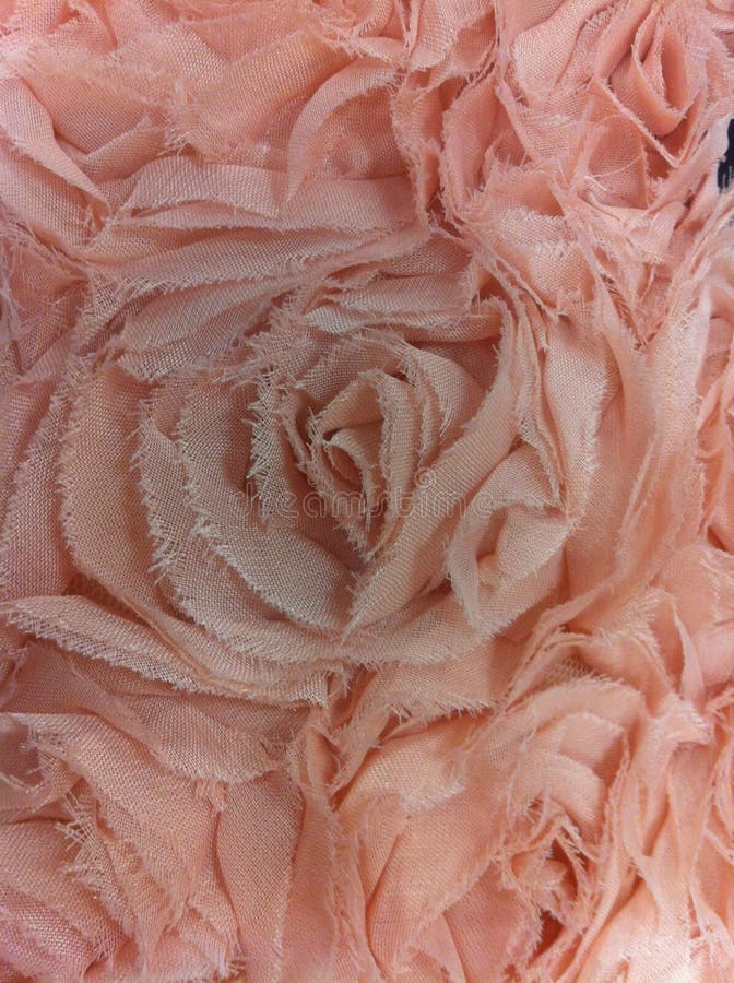 Rosette Fabric Texture royalty free stock images