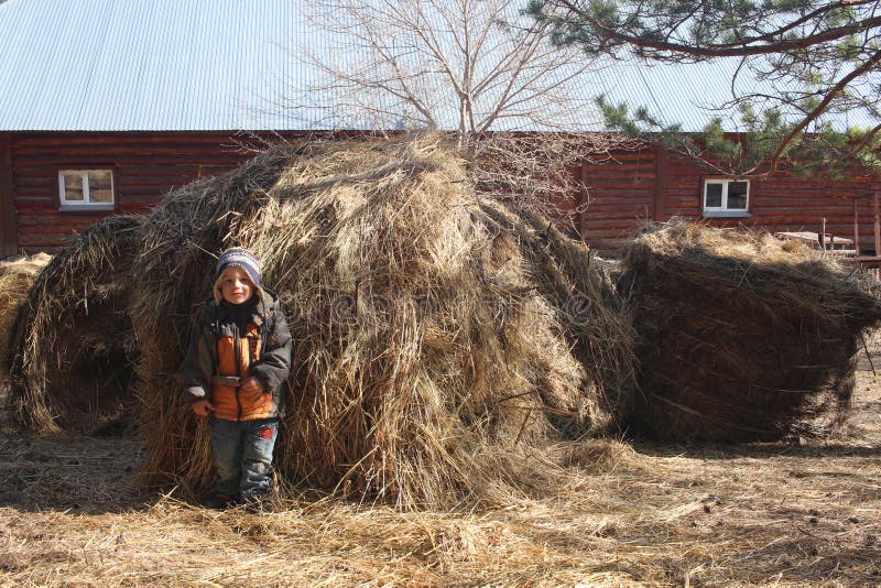 Russia, Novosibirsk 02.05.2021: a small child in the hay in the village a boy in the stable of the farm. Russia, Novosibirsk 02.05.2021: a small child in the hay in the village a boy in the stable of the farm