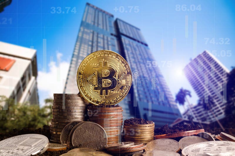 Rosnący krok złote bitmonety bitcoina koncepcja obraz stock