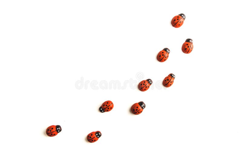 simbolo della coccinella simbolo della coccinella