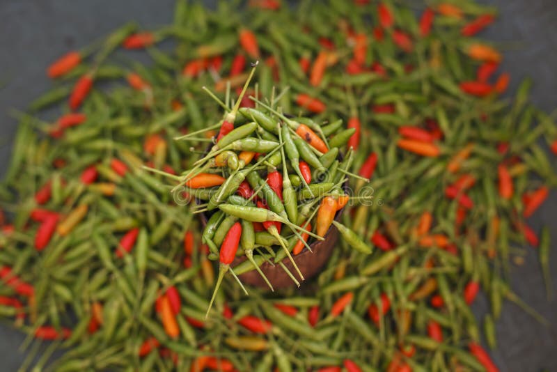 Rosso e peperone verde/peperoncino rosso immagine stock libera da diritti Rosso e peperone verde/peperoncino rosso immagine stock libera da diritti