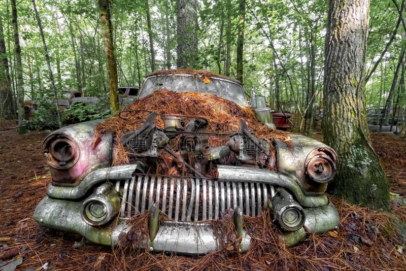Rostiges Altes Auto Im Wald Stockfoto Bild von auto