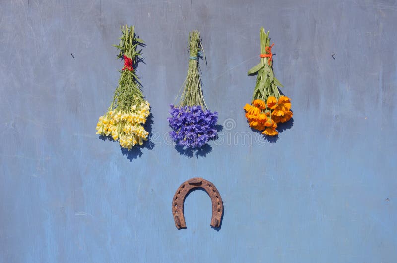 Rostiges Hufeisen des Glücksymbols und medizinisches Kraut blühen Bündel auf blauer Wand lizenzfreie stockfotos Rostiges Hufeisen des Glücksymbols und medizinisches Kraut blühen Bündel auf blauer Wand lizenzfreie stockfotos