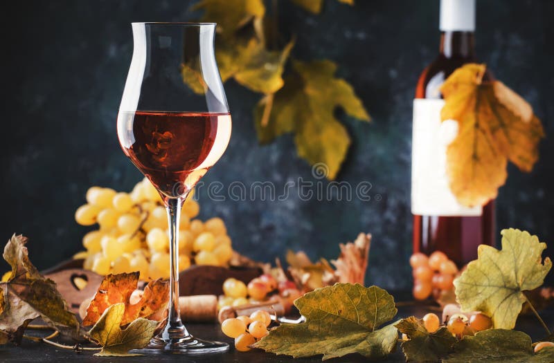 Rostvin vid vinprovning Grå bakgrund med druvor och blad Rosa vin i vineglass Kopiera utrymme royaltyfria foton Rostvin vid vinprovning Grå bakgrund med druvor och blad Rosa vin i vineglass Kopiera utrymme royaltyfria foton