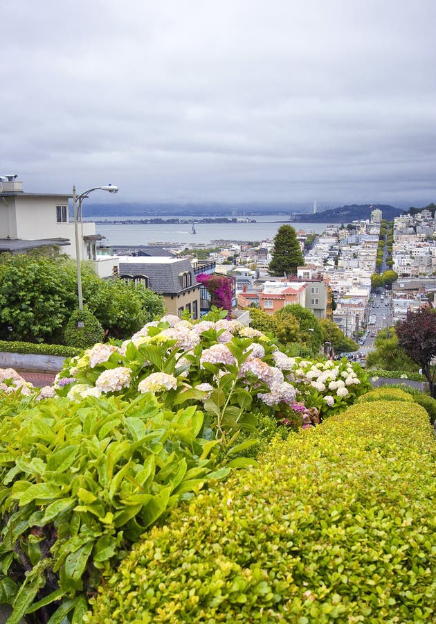 Rosyjski wzgórze na lombard ulicie, San Fransisco, Kalifornia - usa fotografia royalty free Rosyjski wzgórze na lombard ulicie, San Fransisco, Kalifornia - usa fotografia royalty free