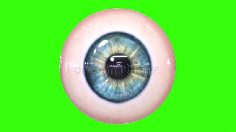 ojos movimiento pantalla verde｜Búsqueda de TikTok