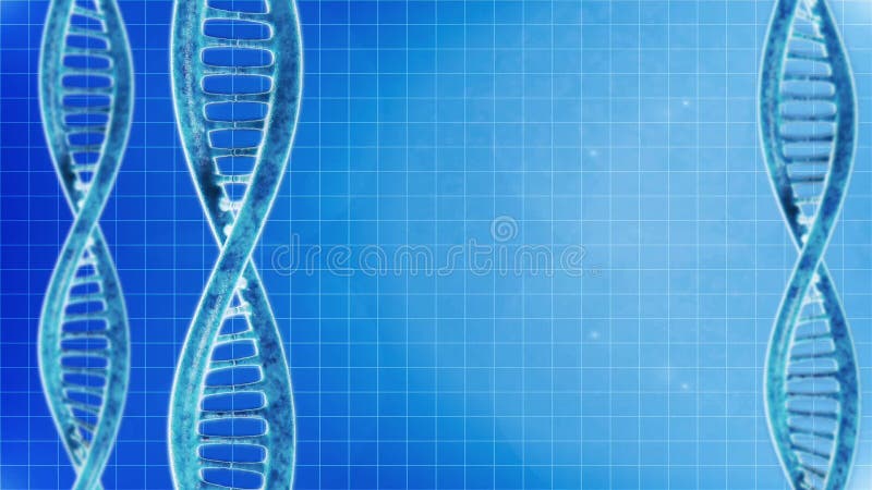 Rotación de las moléculas de la DNA