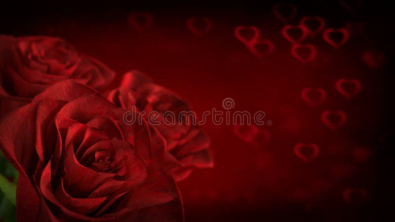 Rotating red rose with heart particles - 3D render. seamless loop vector illustration