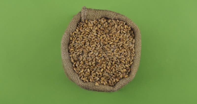 Rotation d'un sac plein de blé. vue supérieure. isolé clips vidéos