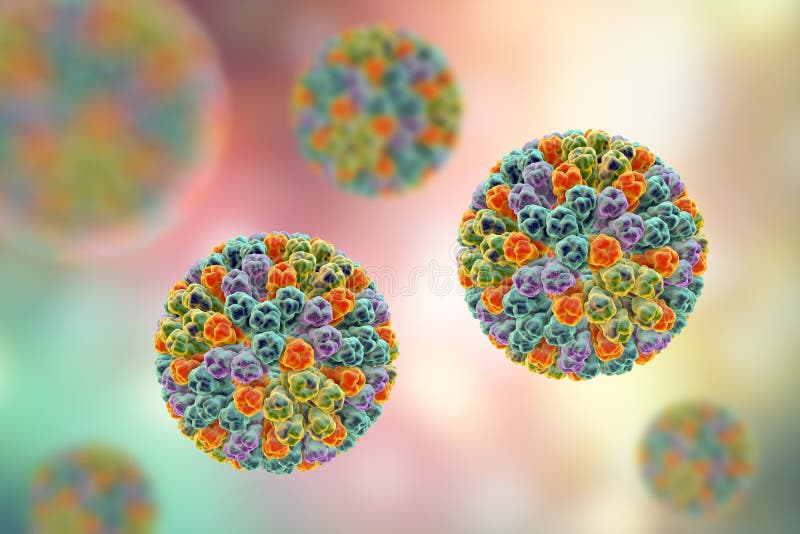 Molecular Model of a Rotavirus Which Causes Diarrheal Infection in