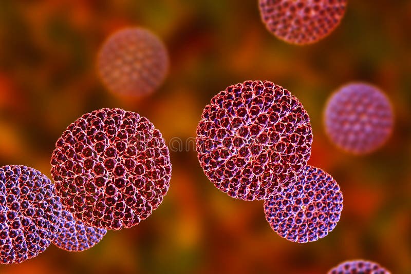 Rotavirus Infection Signs and Symptoms Stock Illustration