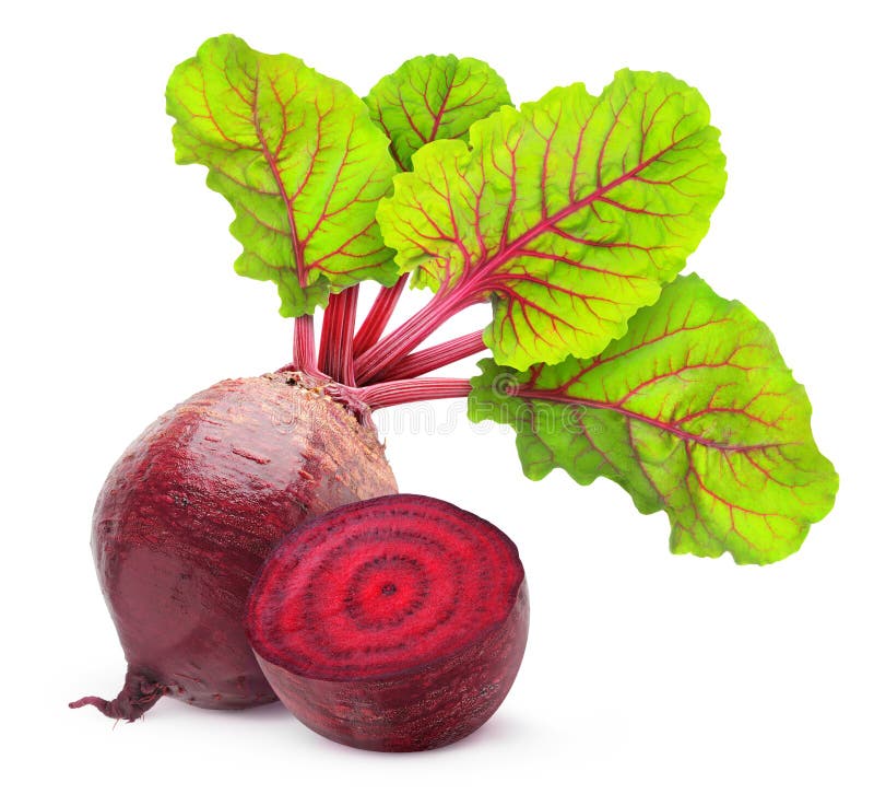 Rote-Bete-Wurzeln lizenzfreie stockbilder