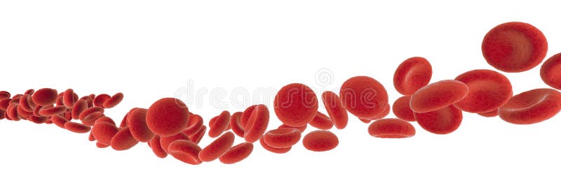 Rote Blutkörperchen, die auf Weiß fließen