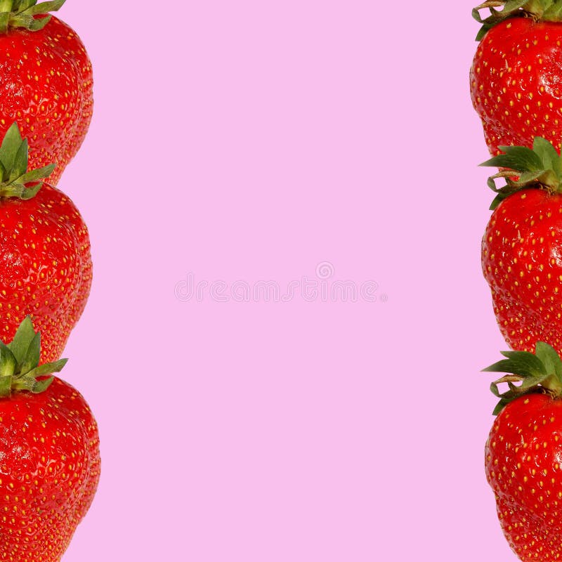 Rote Erdbeere auf einem rosa Hintergrund in Form eines Rahmens stockbild Rote Erdbeere auf einem rosa Hintergrund in Form eines Rahmens stockbild