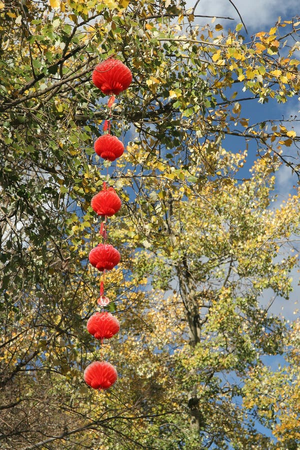42+ Rote Laternen Landshut, Viele altbekannte etablissements sind