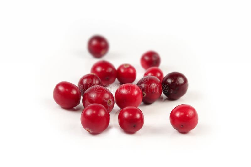 Rote Moosbeere auf Weiß stockfotos Rote Moosbeere auf Weiß stockfotos