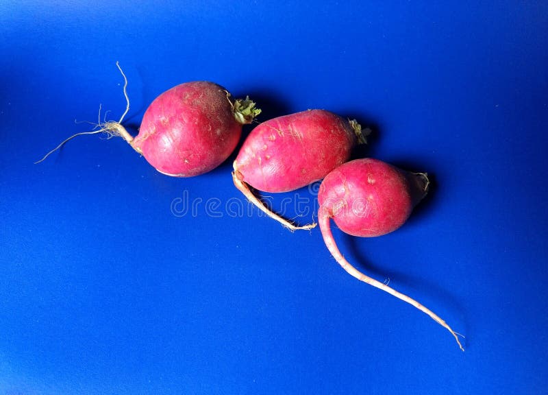 Rote Rettiche mit blauem Hintergrund lizenzfreies stockfoto Rote Rettiche mit blauem Hintergrund lizenzfreies stockfoto