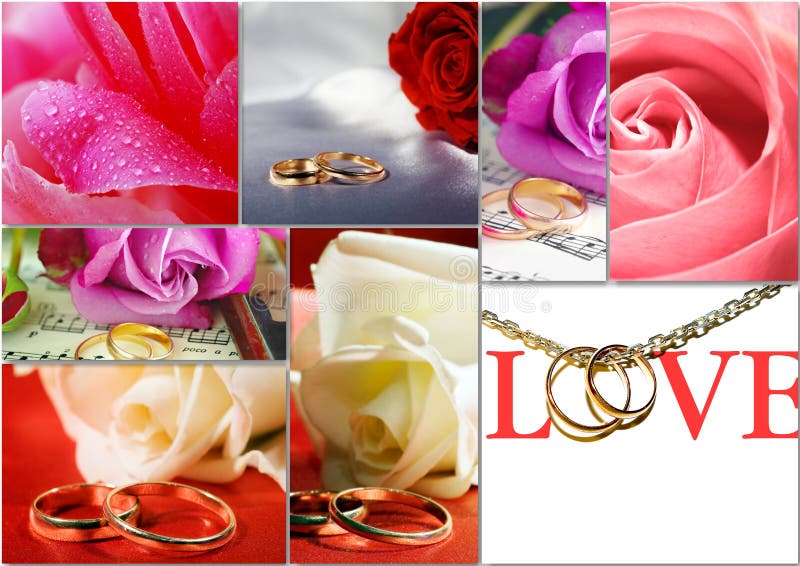 Rote Rose lizenzfreie stockfotos Rote Rose lizenzfreie stockfotos