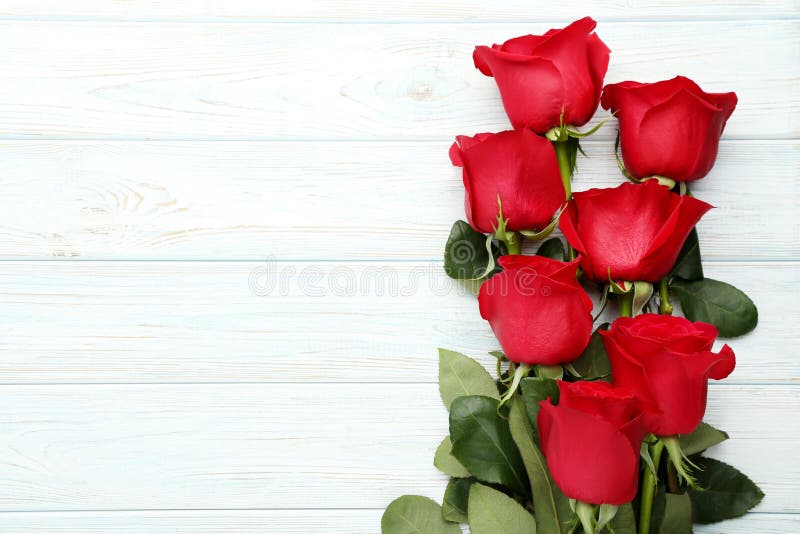 Rote Rosen lizenzfreies stockfoto Rote Rosen lizenzfreies stockfoto