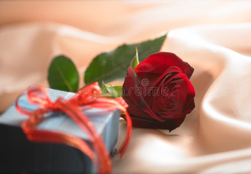 Rote Rosen stockfoto Rote Rosen stockfoto