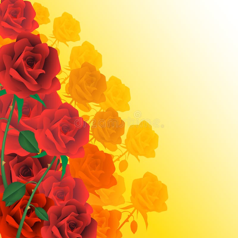 Rote Rosen vektor abbildung. Illustration von liebe, blume - 54062569