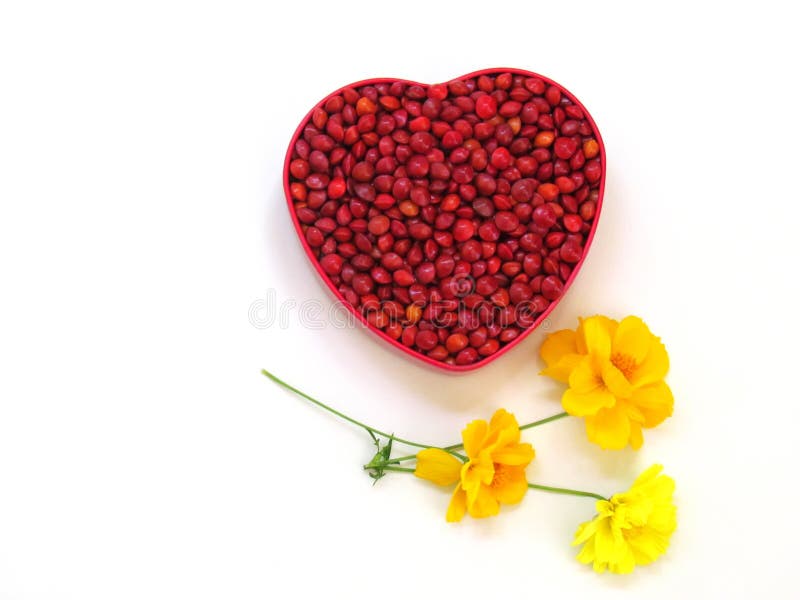 Rote Samen sind in einem roten Herz-förmigen Kasten und verziert mit gelben Kosmosblumen lizenzfreie stockfotografie Rote Samen sind in einem roten Herz-förmigen Kasten und verziert mit gelben Kosmosblumen lizenzfreie stockfotografie