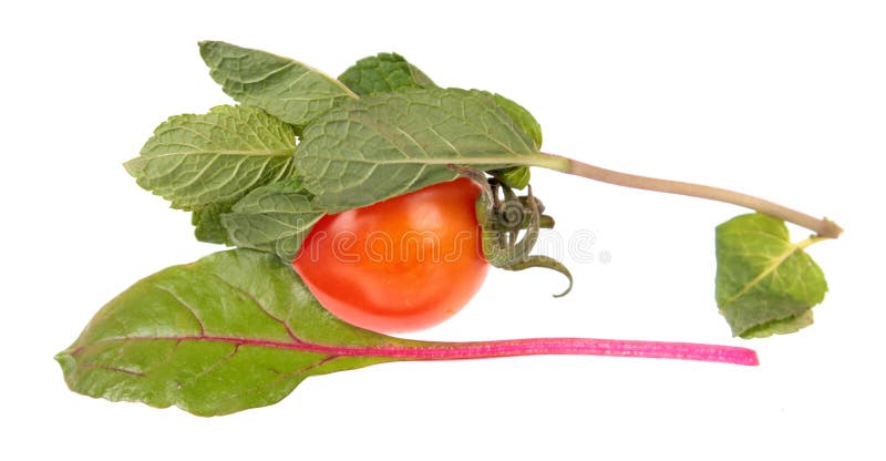Rote Tomate, tadellose Niederlassung mit frischen grünen Blättern und Mangoldgemüsegrünblatt lokalisiert auf weißem Hintergrund lizenzfreie stockfotografie Rote Tomate, tadellose Niederlassung mit frischen grünen Blättern und Mangoldgemüsegrünblatt lokalisiert auf weißem Hintergrund lizenzfreie stockfotografie