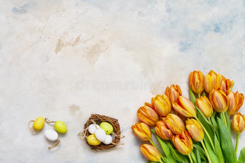 Rote Tulpe und farbige Eier Dekorative Ostereier in den Nest- und Frühlingstulpen auf buntem Hintergrund Kopieren Sie Raum, Drauf lizenzfreie stockfotos Rote Tulpe und farbige Eier Dekorative Ostereier in den Nest- und Frühlingstulpen auf buntem Hintergrund Kopieren Sie Raum, Drauf lizenzfreie stockfotos