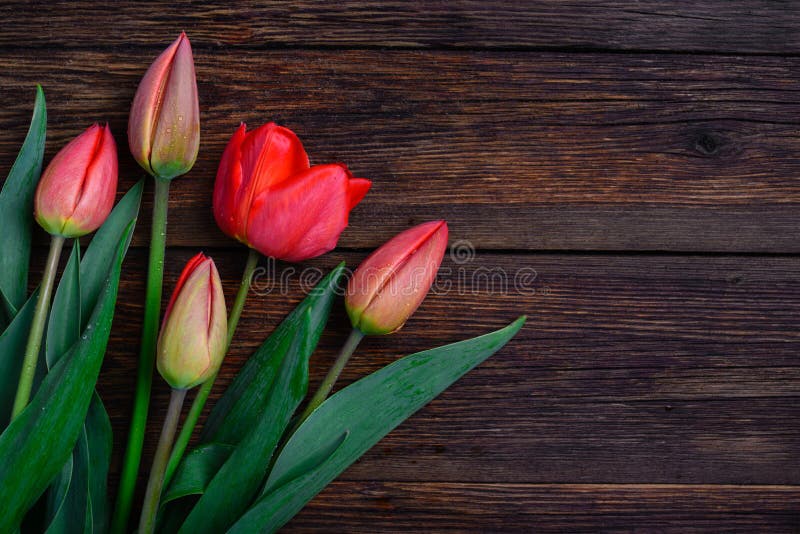 Rote Tulpenblumen auf Holztisch Draufsicht, Kopienraum lizenzfreies stockfoto Rote Tulpenblumen auf Holztisch Draufsicht, Kopienraum lizenzfreies stockfoto