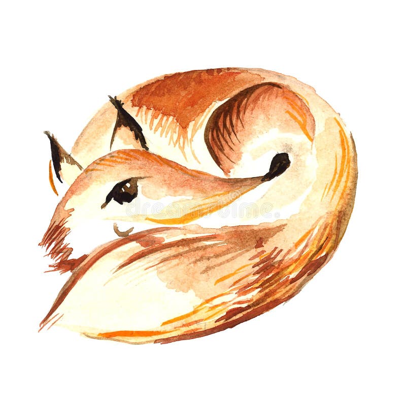 Roter Fuchs des Aquarells stockfotografie Roter Fuchs des Aquarells stockfotografie