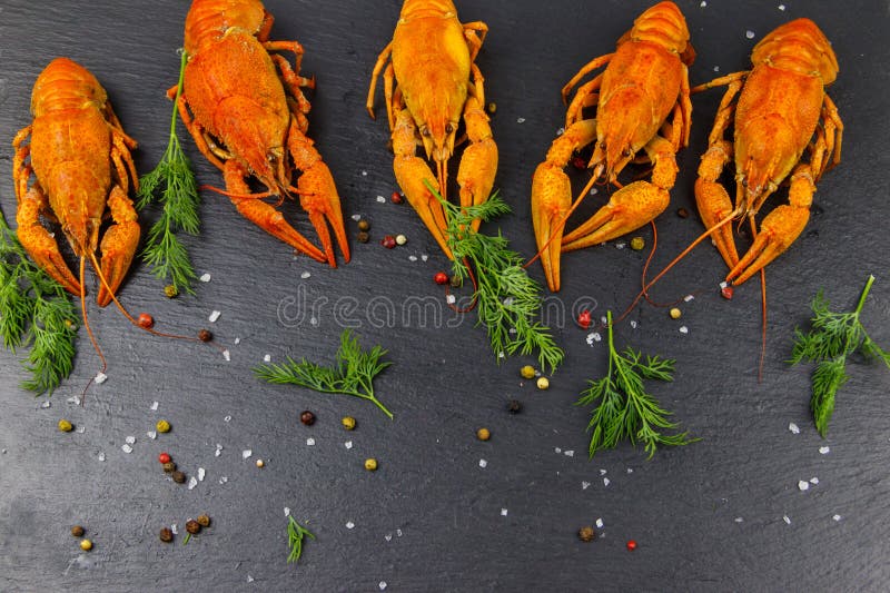 Roter, gekochter Langusten mit Dill und Gewürzen auf schwarzem Schiefer Hintergrund. Top-Ansicht