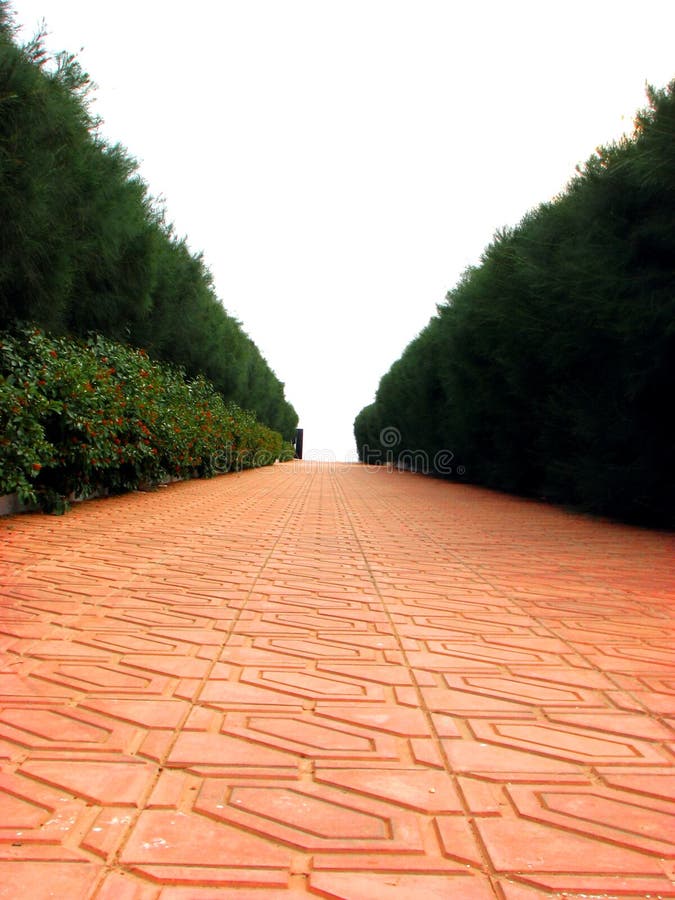 A beautiful path of red tiles in between green spruce like trees. A beautiful path of red tiles in between green spruce like trees