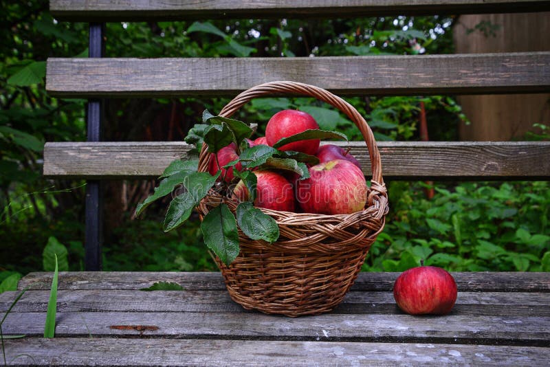 Roter reifer Apfel im Korb