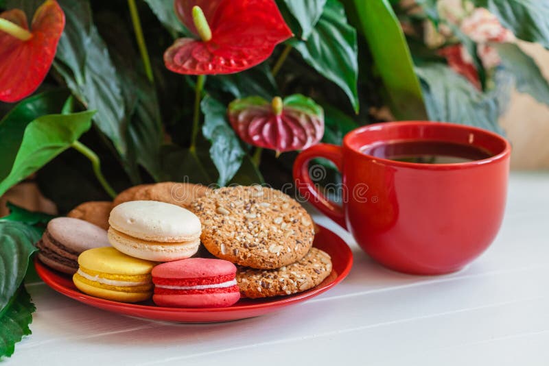 Roter Schalenkaffee, Kekse, Makronen, Blumen auf einem weißen hölzernen t