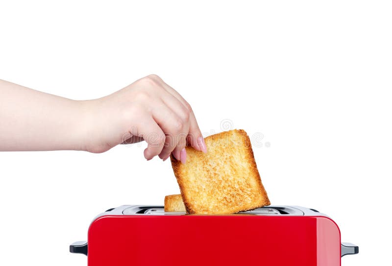 Red Toaster With Toasted Bread Hands Girl Pulls Out Ready Toasts Isolated On White Background
