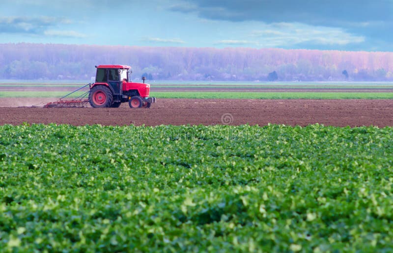 Red tractor working on thre agricultural field on sunny spring day. Red tractor working on thre agricultural field on sunny spring day.